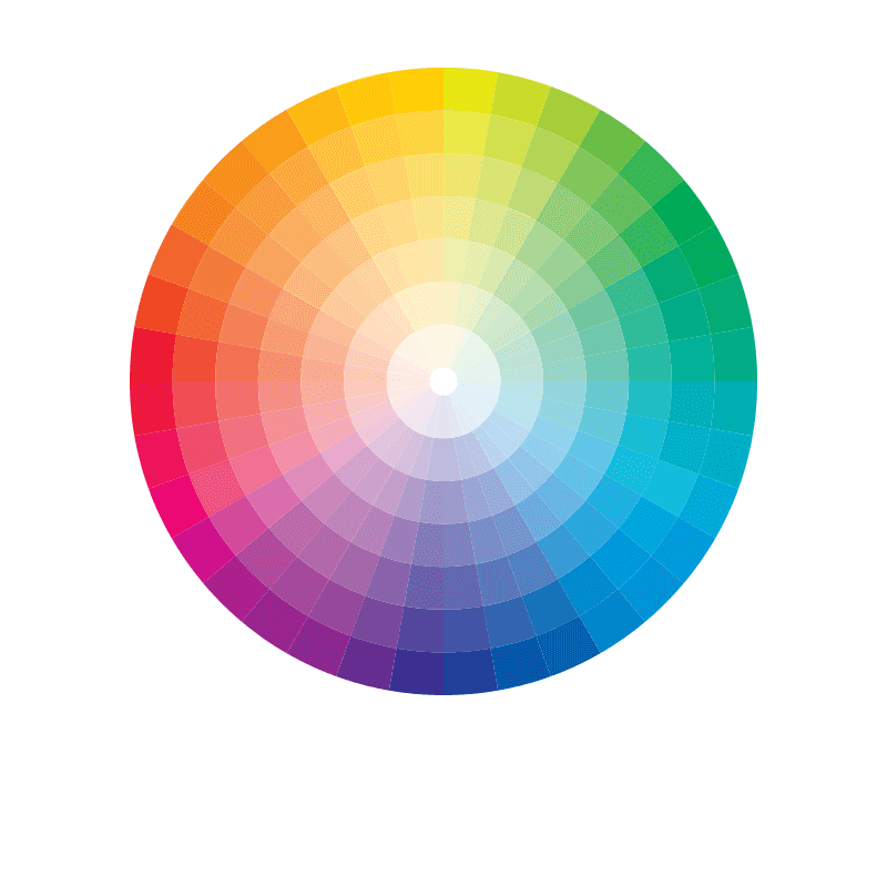 Classic Pantone Matched Shells Classic Pantone Matched Shells